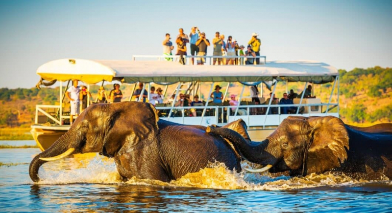 THE FUTURE OF AFRICAN TOURISM