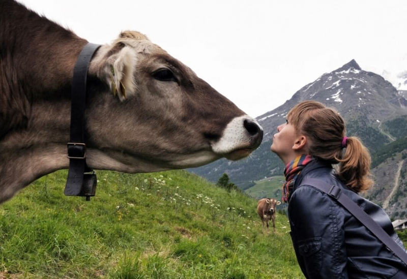 SWISS TOURISM RENAISSANCE: FROM THE COVID-19 SHOCK TO UNPRECEDENTED BOOM