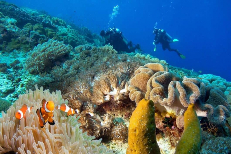 LAST-CHANCE TOURISM EXPLORES ENDANGERED WONDERS