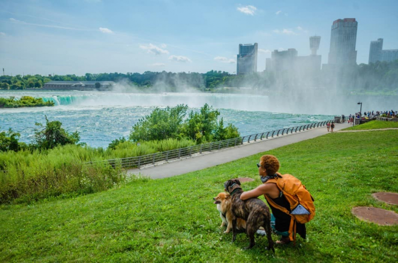 ON A RELAXING DAY IN TORONTO