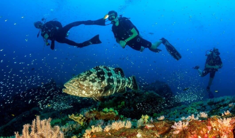 TOP FIVE MOST FANTASTIC DIVING SPOTS WORLDWIDE