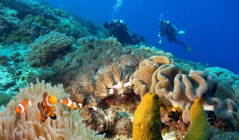 TOP FIVE MOST FANTASTIC DIVING SPOTS WORLDWIDE