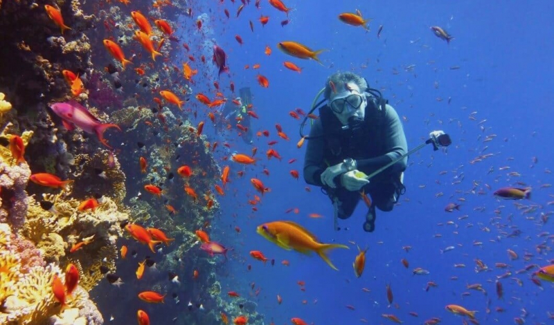 TOP FIVE MOST FANTASTIC DIVING SPOTS WORLDWIDE