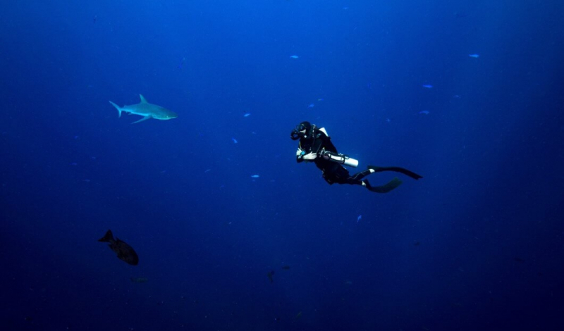 TOP FIVE MOST FANTASTIC DIVING SPOTS WORLDWIDE