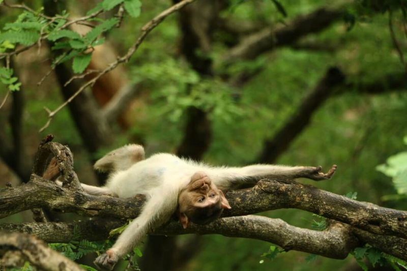 COSTA RICA’S TOURISM CRISIS: 22,000 JOBS LOST