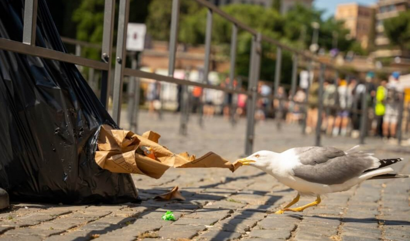 TOP 5 DIRTIEST TOURIST CITIES IN THE WORLD 2025