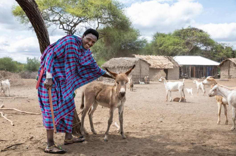 THE MAASAI PEOPLE SACRIFICED TO TOURISM REVENUE